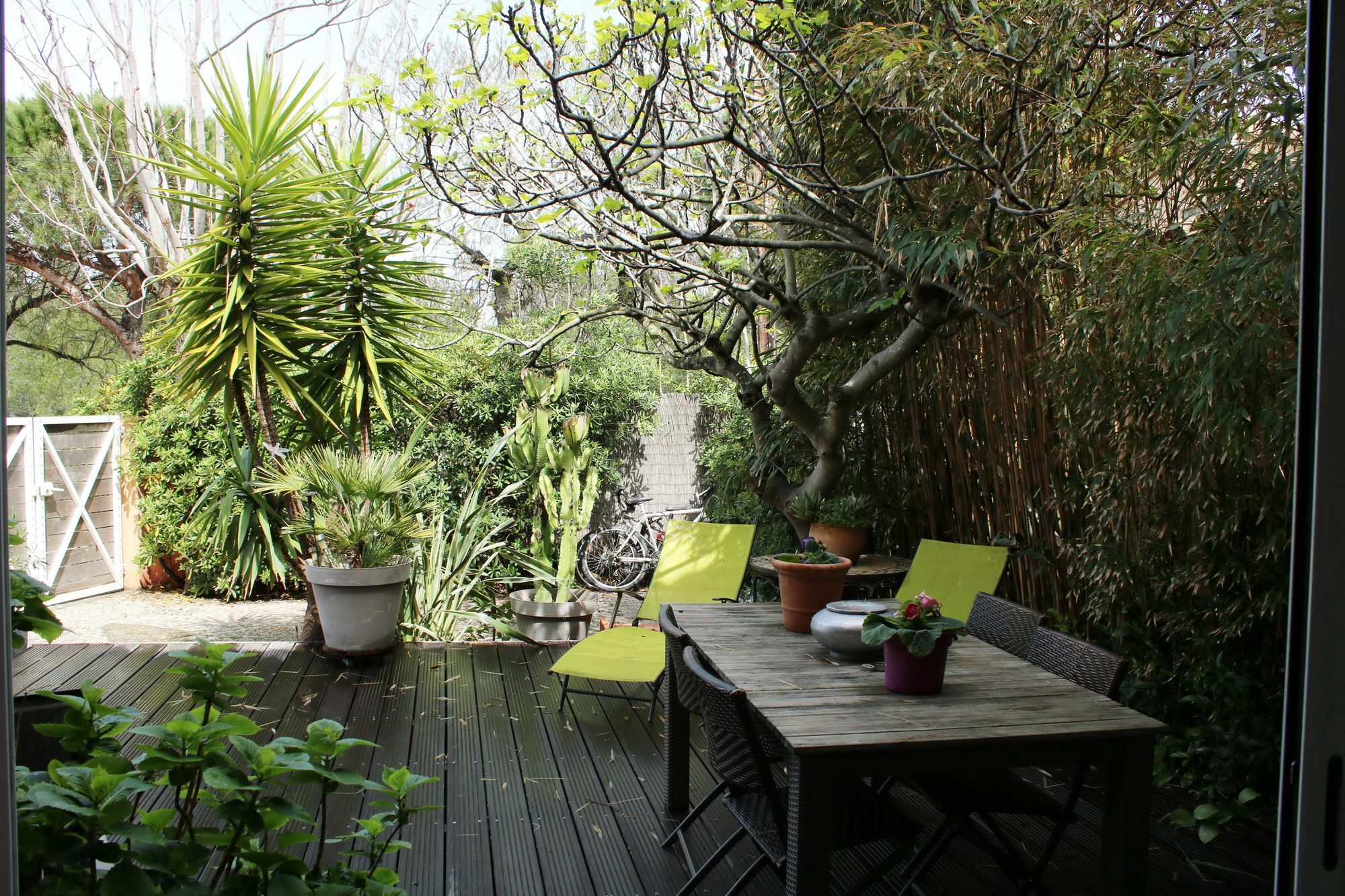 Villa Mon Reve Hyères Exteriör bild